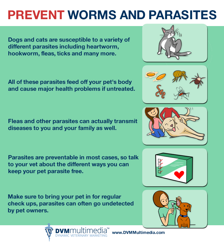 Parasite Prevention